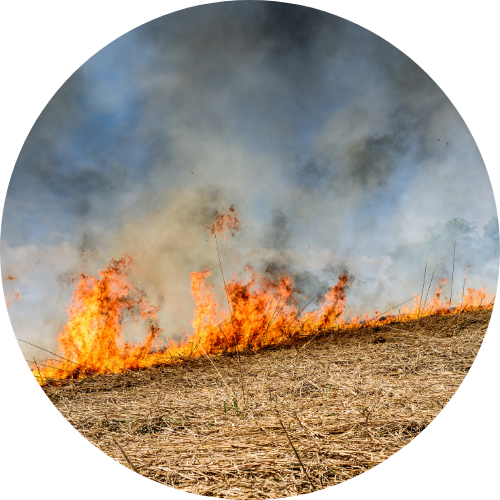 Burn Permits Document Library