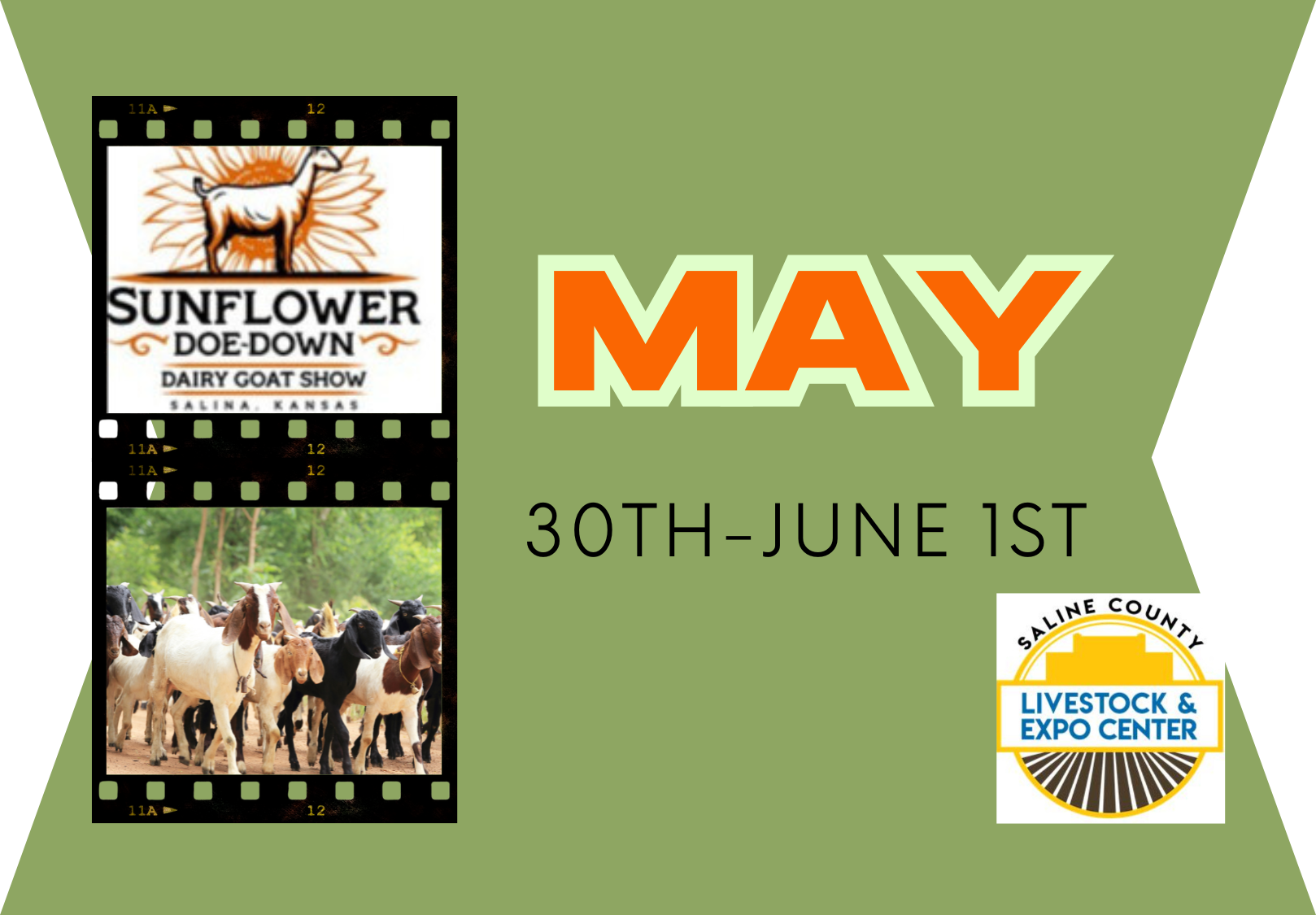 Sunflower Doe Down coming to the Expo May 30th through June 1st - News Image