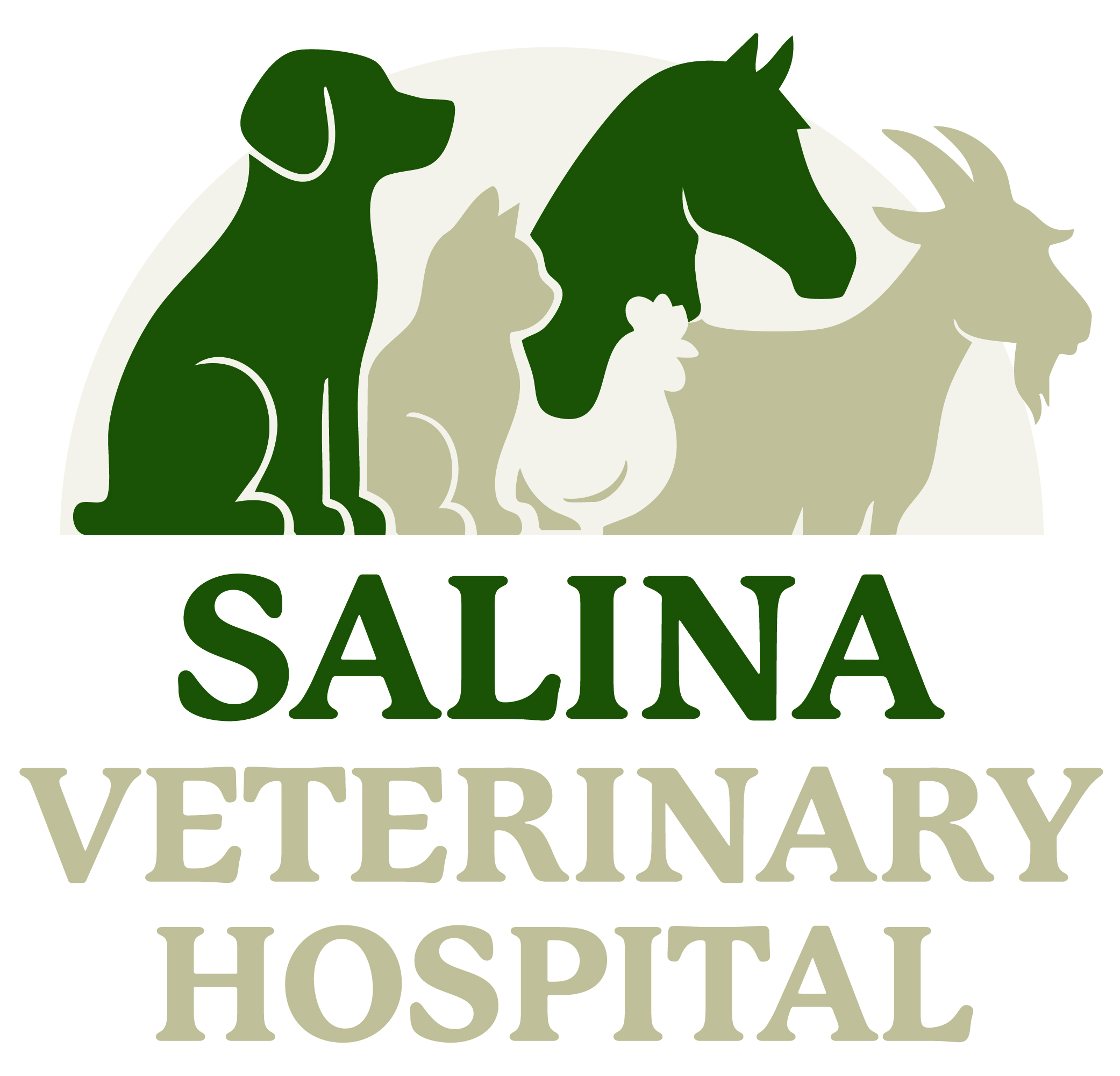 Saline County Client Logo Image