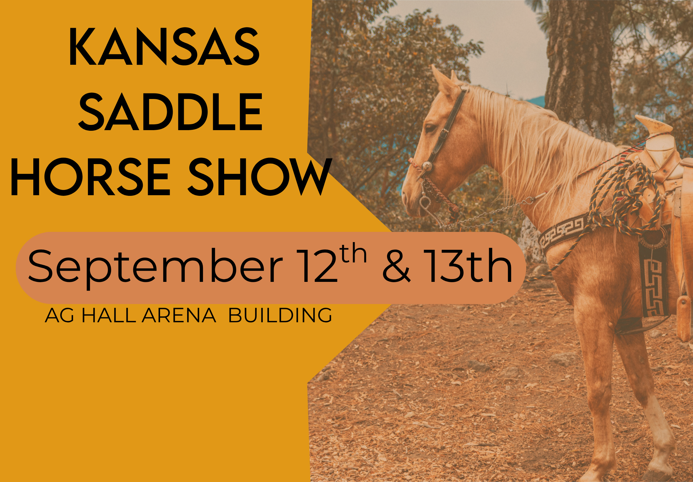 News Image Kansas Saddle Horse Show